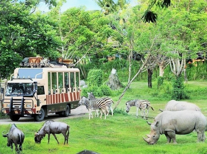 Hành trình thăm "thú" vô cùng mới mẻ và độc đáo tại Vin Safari
